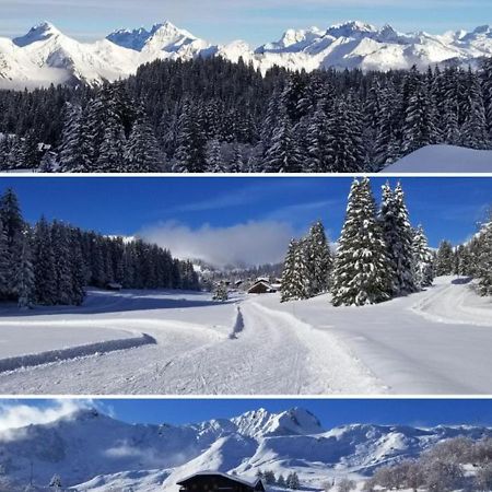 Studio Cabine Praz De Lys タナンジュ エクステリア 写真