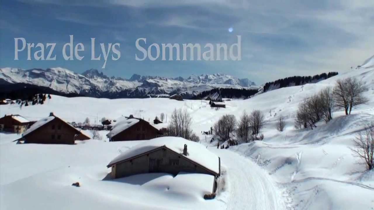 Studio Cabine Praz De Lys タナンジュ エクステリア 写真