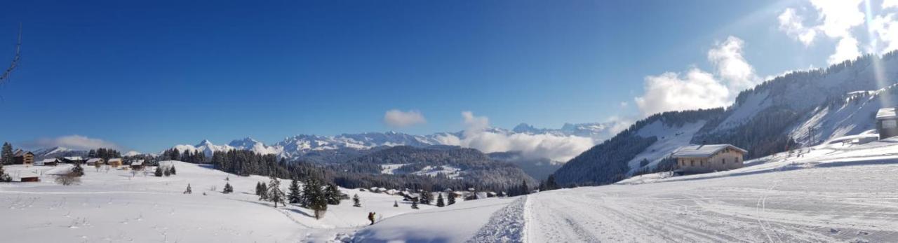 Studio Cabine Praz De Lys タナンジュ エクステリア 写真