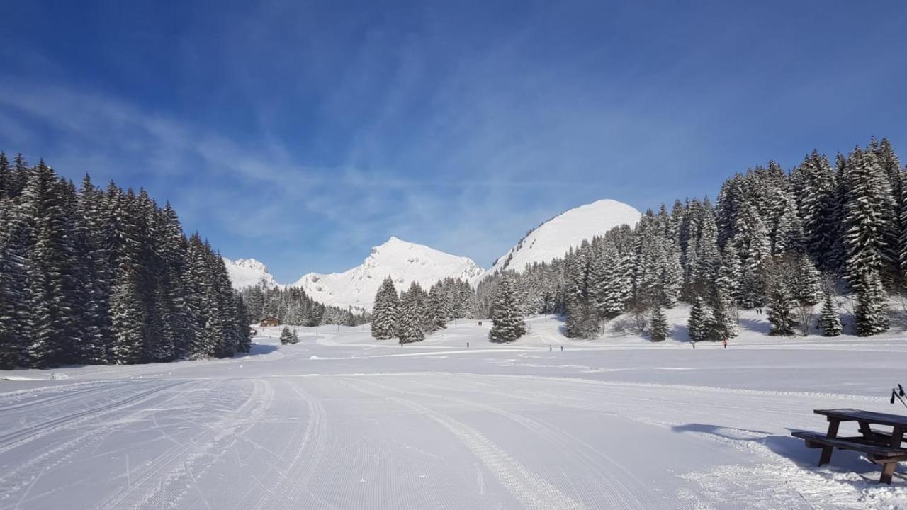 Studio Cabine Praz De Lys タナンジュ エクステリア 写真