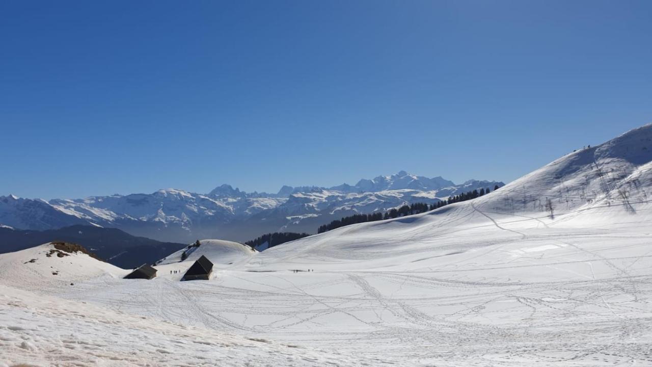 Studio Cabine Praz De Lys タナンジュ エクステリア 写真