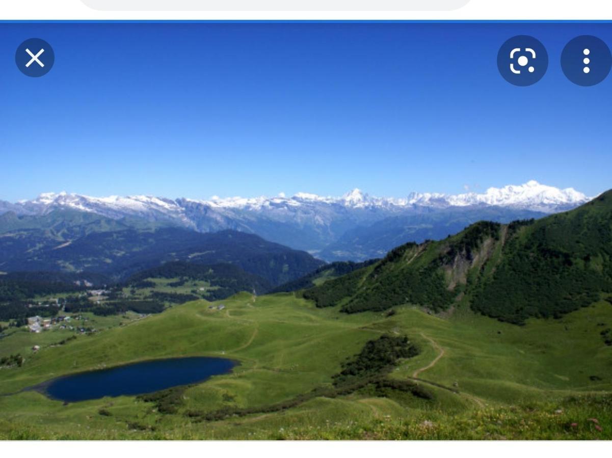 Studio Cabine Praz De Lys タナンジュ エクステリア 写真