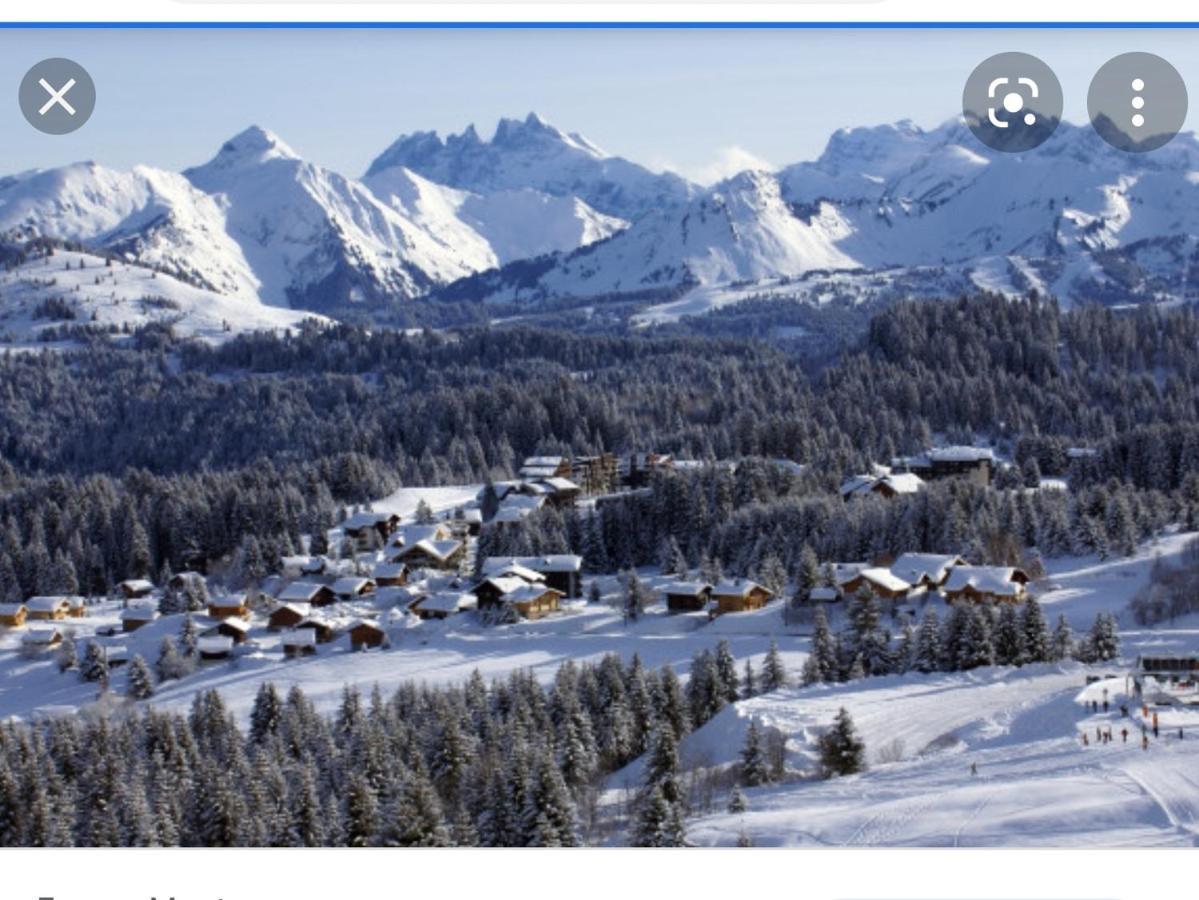 Studio Cabine Praz De Lys タナンジュ エクステリア 写真