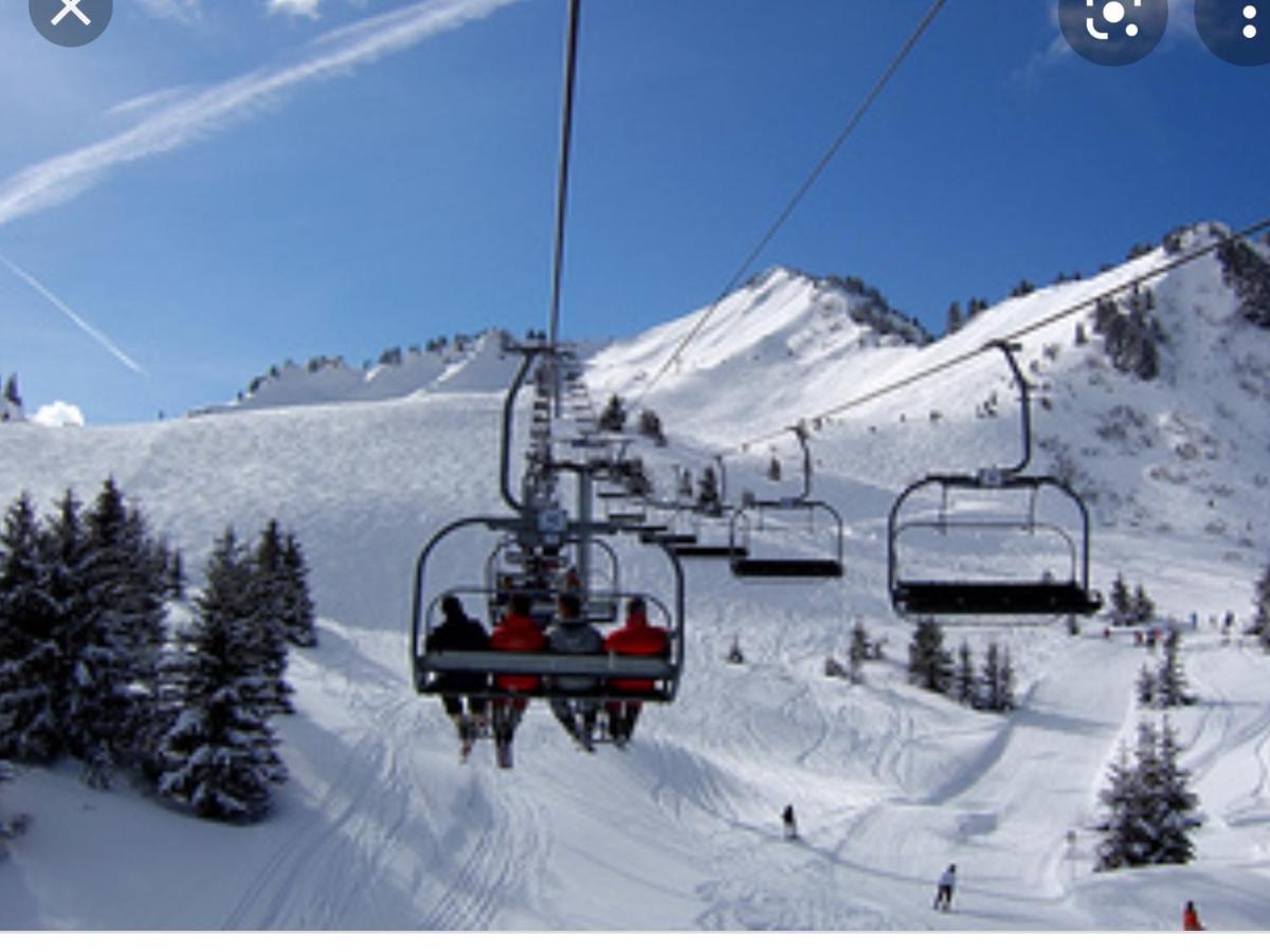 Studio Cabine Praz De Lys タナンジュ エクステリア 写真